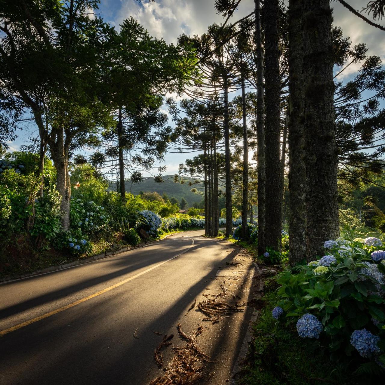 Hotel Fioreze Chales Gramado Exteriör bild
